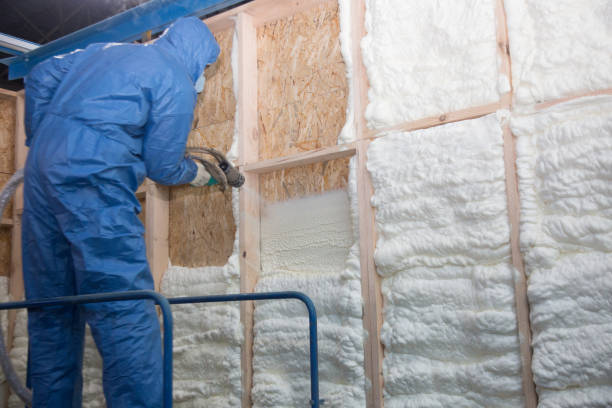 Professional Insulation Services in Willow Grove, TX